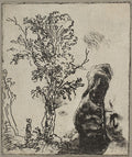Studies of a Tree and the Artist's Head Poster | Rembrandt van Rijn Art Print (1642)