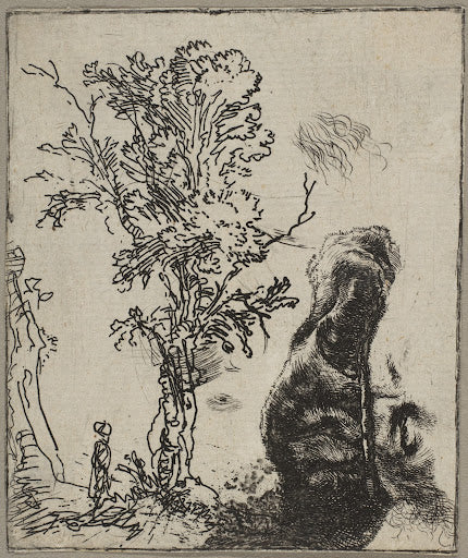 Studies of a Tree and the Artist's Head Poster | Rembrandt van Rijn Art Print (1642)