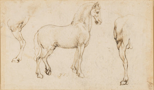 Studies of Horses Poster | Leonardo da Vinci Art Print (1478)