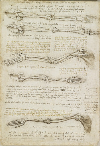 The Bones of the Foot Poster | Leonardo da Vinci Art Print (1510)