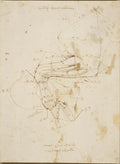 A Horse's Left Foreleg, with Measurements Poster | Leonardo da Vinci Art Print (1490)
