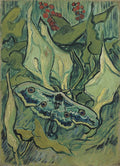 Giant Peacock Moth Poster | Vincent van Gogh Art Print (1889)