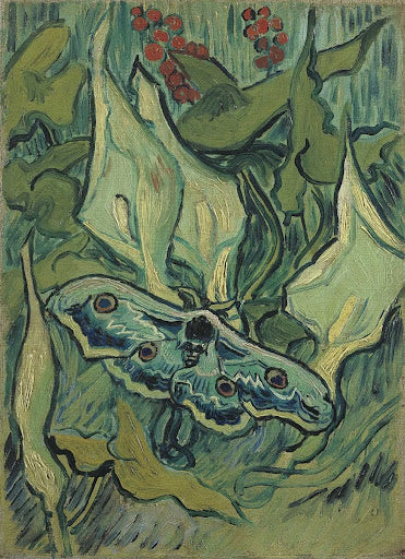 Giant Peacock Moth Poster | Vincent van Gogh Art Print (1889)