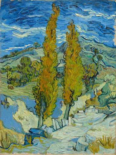 Two Poplars in the Alpilles Near Saint-Rémy Poster | Vincent van Gogh Art Print (1889)
