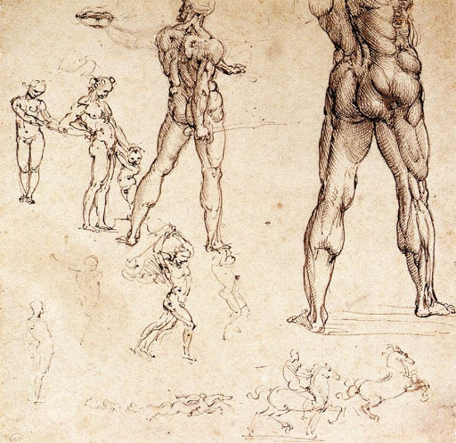 Anatomical Studies of Male Figures Poster | Leonardo da Vinci Art Print