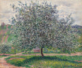 The Apple Tree Poster | Claude Monet Art Print (1879)