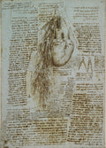 The Heart, Bronchi and Bronchial Vessels Poster | Leonardo da Vinci Art Print (1511)