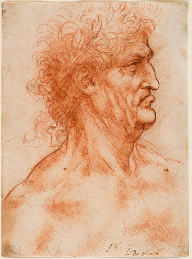 Profile of a Man Crowned with Laurel Poster | Leonardo da Vinci Art Print (1506)