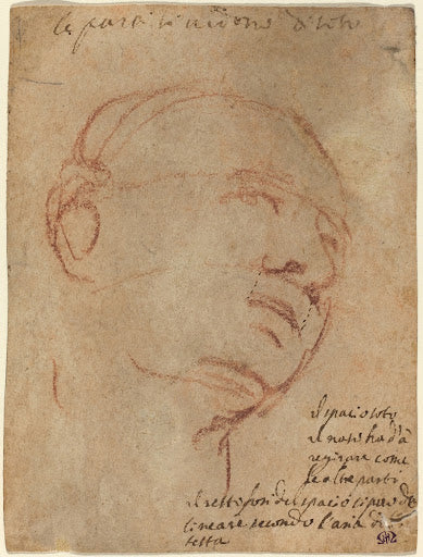 Head of a Man Poster | Follower of Michelangelo Art Print (1530)