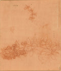 A Branch of Blackberry, and a Stem of Bird's-foot Trefoil Poster | Leonardo da Vinci Art Print (1506)