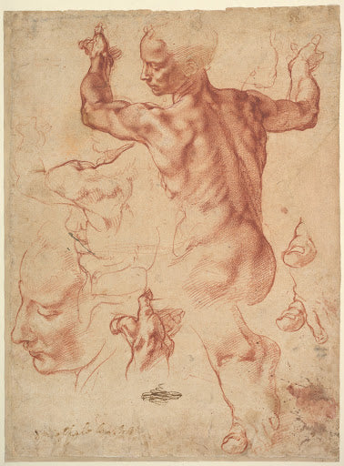 Studies for the Libyan Sibyl Poster | Michelangelo Art Print (1510)