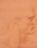 The Head of St Bartholomew Poster | Leonardo da Vinci Art Print (1495)