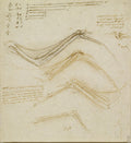 The Bones and Muscles of a Bird's Wing Poster | Leonardo da Vinci Art Print (1512)