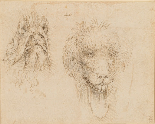 Two Heads of Grotesque Animals Poster | Leonardo da Vinci Art Print (1490)