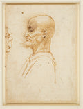 A Bearded Man Confronted by a Grotesque Profile Poster | Leonardo da Vinci Art Print (1492)