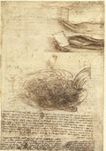 Studies of Water (Windsor Verso) Poster | Leonardo da Vinci Art Print