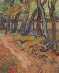 Path in the Garden of the Asylum Poster | Vincent van Gogh Art Print (1889)