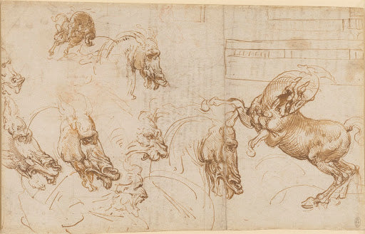 Rearing Horse and Heads of Horses, Lion and Man Poster | Leonardo da Vinci Art Print (1503)