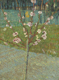 Peach Tree in Blossom Poster | Vincent van Gogh Art Print (1888)
