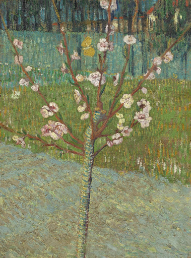 Peach Tree in Blossom Poster | Vincent van Gogh Art Print (1888)