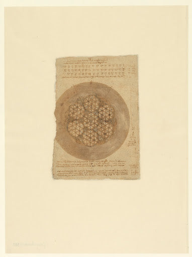 Codex Atlanticus Folio 307 Verso Poster | Leonardo da Vinci Art Print (1517)