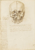The Cranium Sectioned Poster | Leonardo da Vinci Art Print (1489)