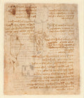 Codex Atlanticus Folio 166 Recto Poster | Leonardo da Vinci Art Print