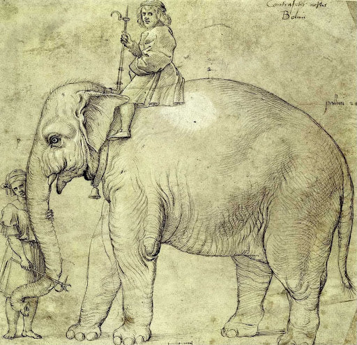 The Elephant Hanno Poster | School of Raphael Art Print (1514)