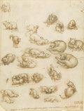 Cats, Lions, and a Dragon Poster | Leonardo da Vinci Art Print (1517)
