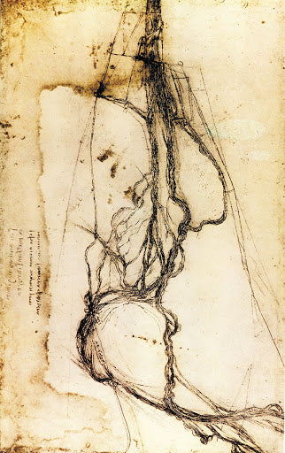 Studies of the Arno Below Florence Poster | Leonardo da Vinci Art Print (1503)