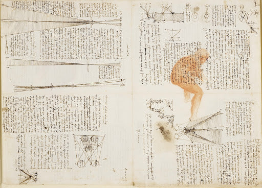 Studies of Optics and Men in Action Poster | Leonardo da Vinci Art Print (1508)