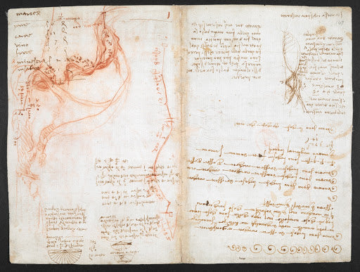 Codex Arundel Folio 148v Poster | Leonardo da Vinci Art Print