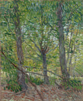 Trees Poster | Vincent van Gogh Art Print (1887)