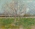 Orchard in Blossom (Apricot Trees) Poster | Vincent van Gogh Art Print (1888)