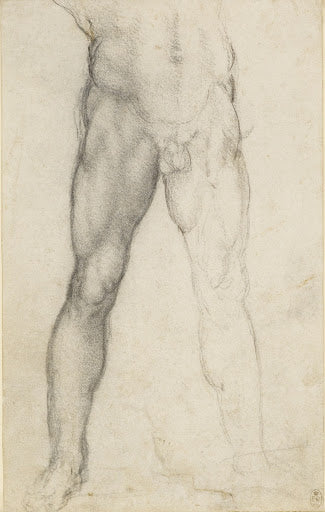 The Legs of a Male Nude Poster | Leonardo da Vinci Art Print (1504)