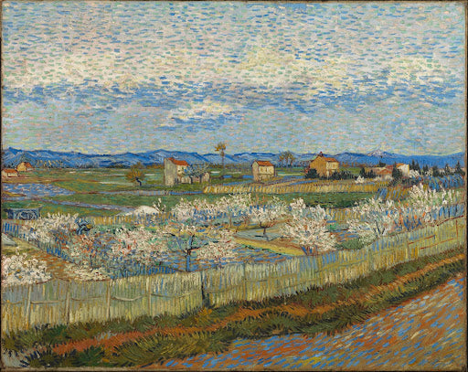 Peach Trees in Blossom Poster | Vincent van Gogh Art Print (1889)