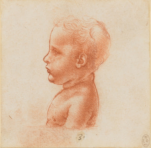 The Bust of a Child in Profile Poster | Leonardo da Vinci Art Print (1500)