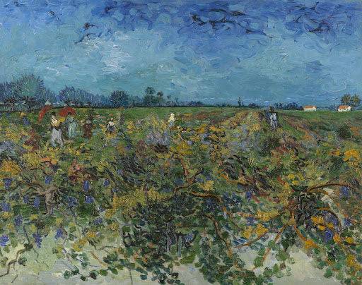 The Green Vineyard Poster | Vincent van Gogh Art Print (1888)