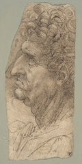 Head of a Man in Profile Facing to the Left Poster | Leonardo da Vinci Art Print (1490)