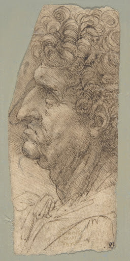 Head of a Man in Profile Facing to the Left Poster | Leonardo da Vinci Art Print (1490)