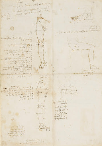 Studies of Human Proportion Poster | Leonardo da Vinci Art Print (1490)